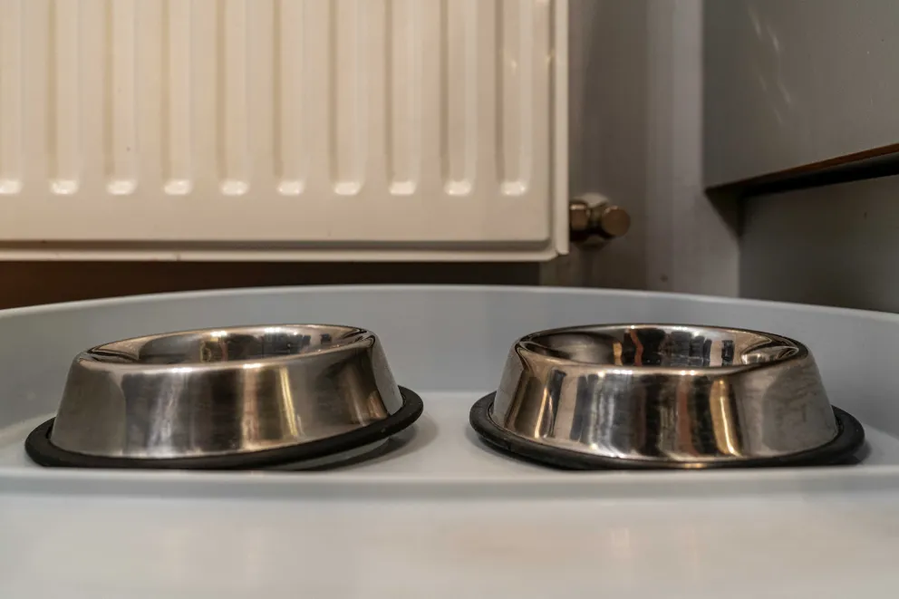 Apartament familijny