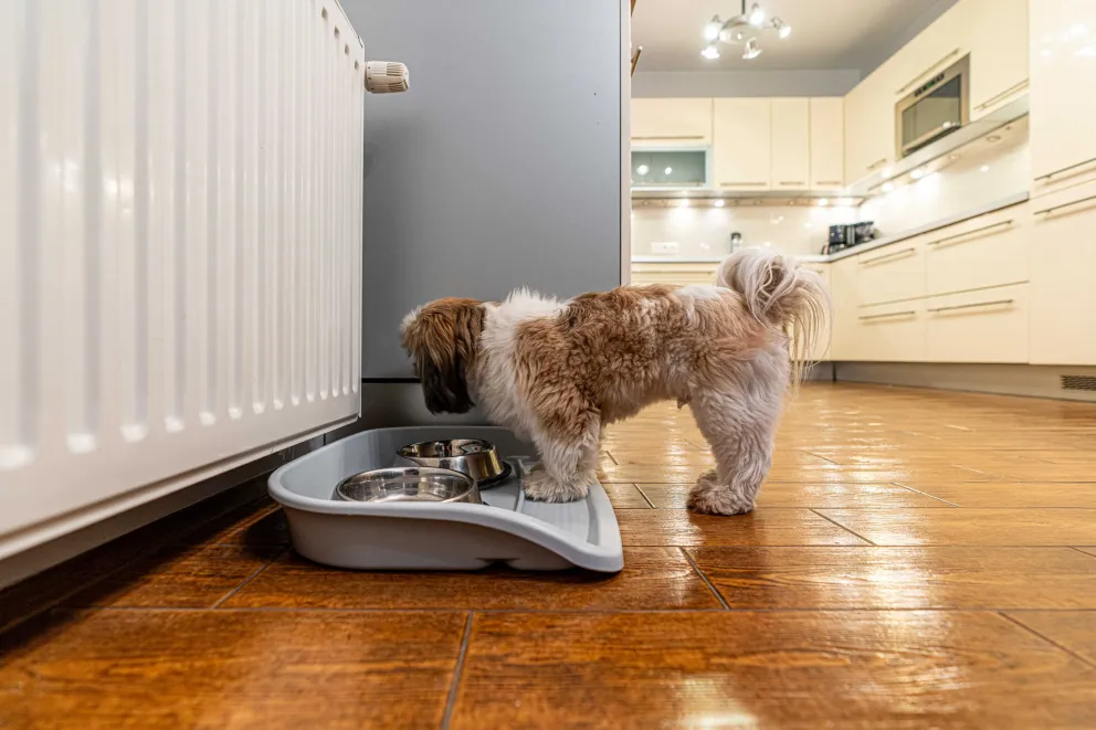 Apartament familijny